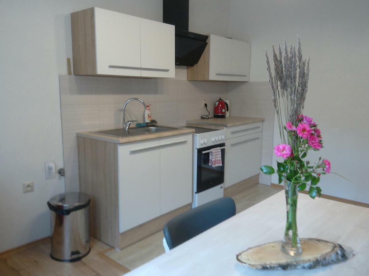 Apartman S Vyhladom Leilighet Kremnica Eksteriør bilde